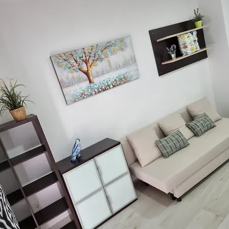 Apartamentos Zanca City Center Free Luggage Storage Malaga Exterior photo